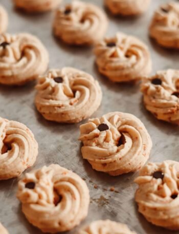 pexels meggy kadam aryanto 9620118 (1)