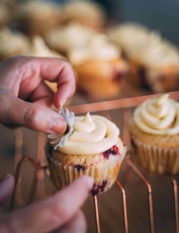 pexels taryn elliott 4099125 (1)